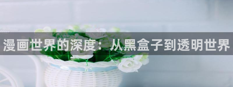 拷贝漫画第三方版：漫画世界的深度：从黑盒子到透明世界