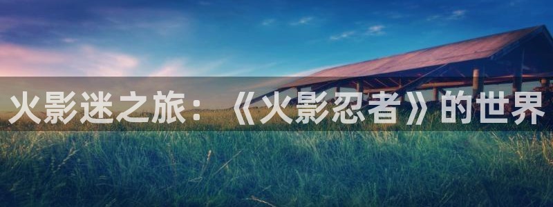 拷贝漫画2：火影迷之旅：《火影忍者》的世界