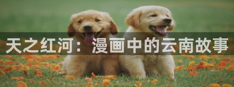 拷贝漫画繁体字：天之红河：漫画中的云南故事